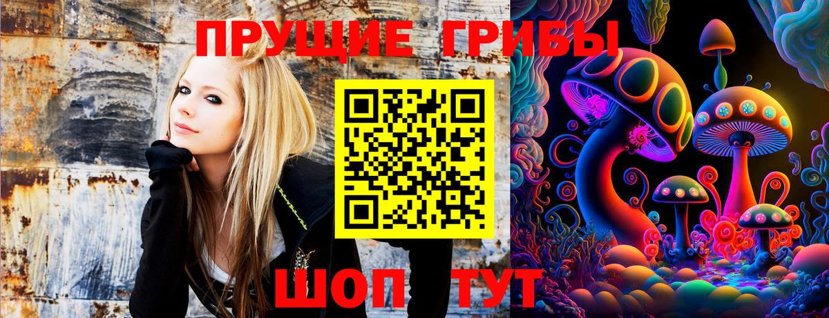 Галлюциногенные грибы мицелий Горячий Ключ